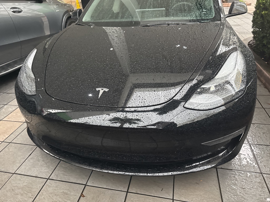 2023 Tesla Model 3 photo 2