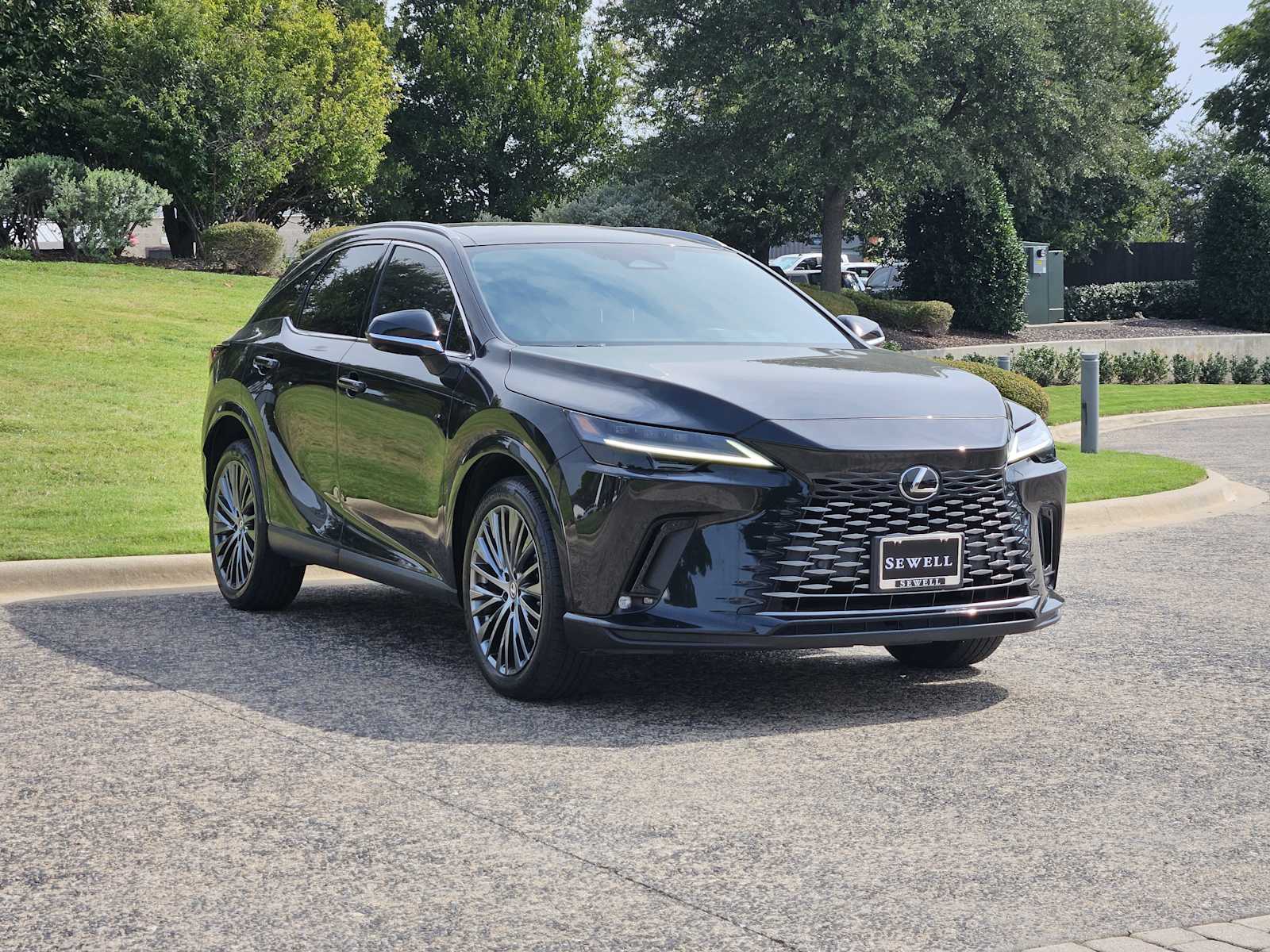 2023 Lexus RX 350 Luxury photo 2