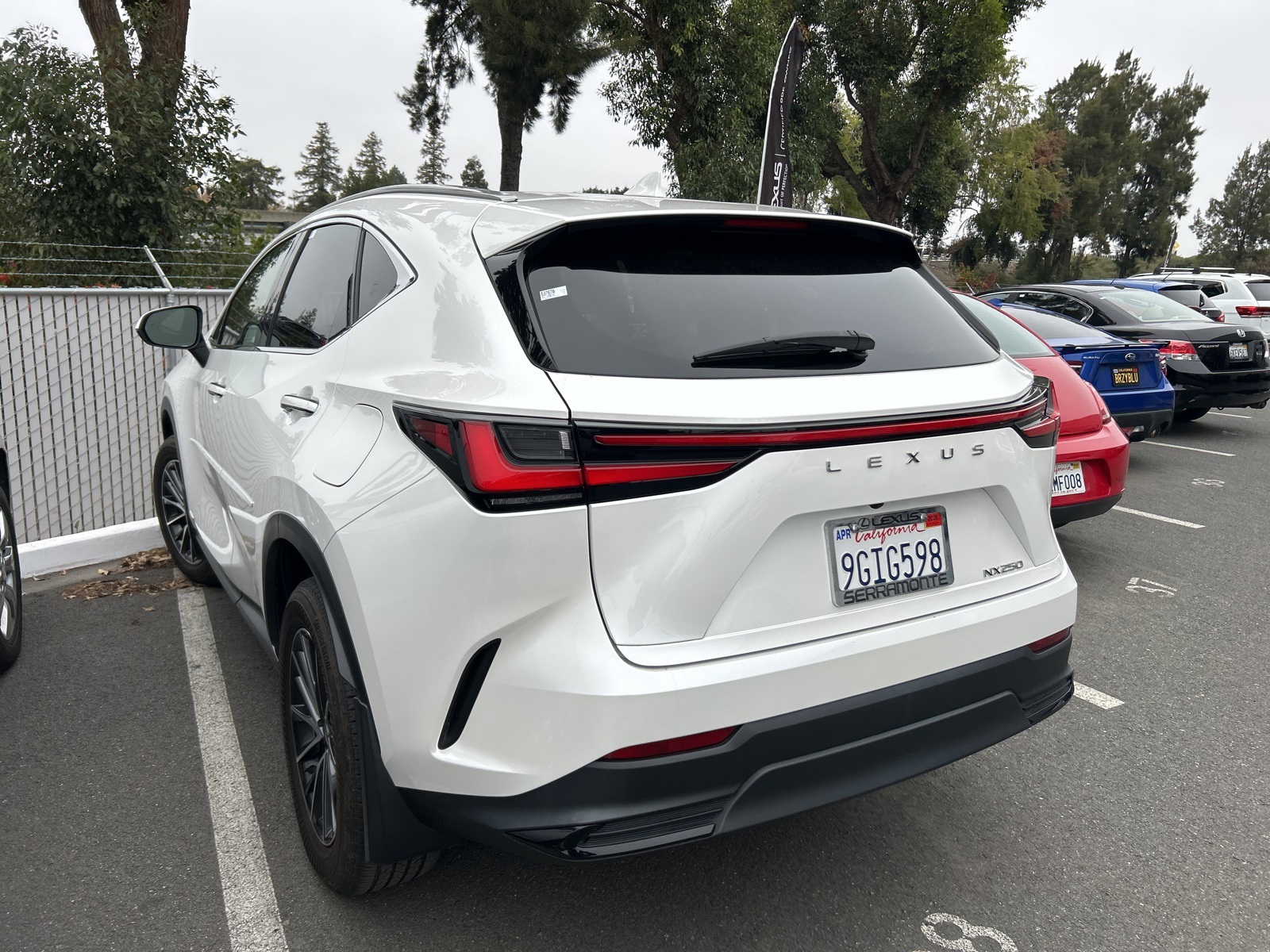 2024 Lexus NX 250 photo 4