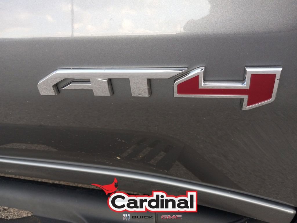 2020 Gmc Sierra 1500 AT4 photo 3