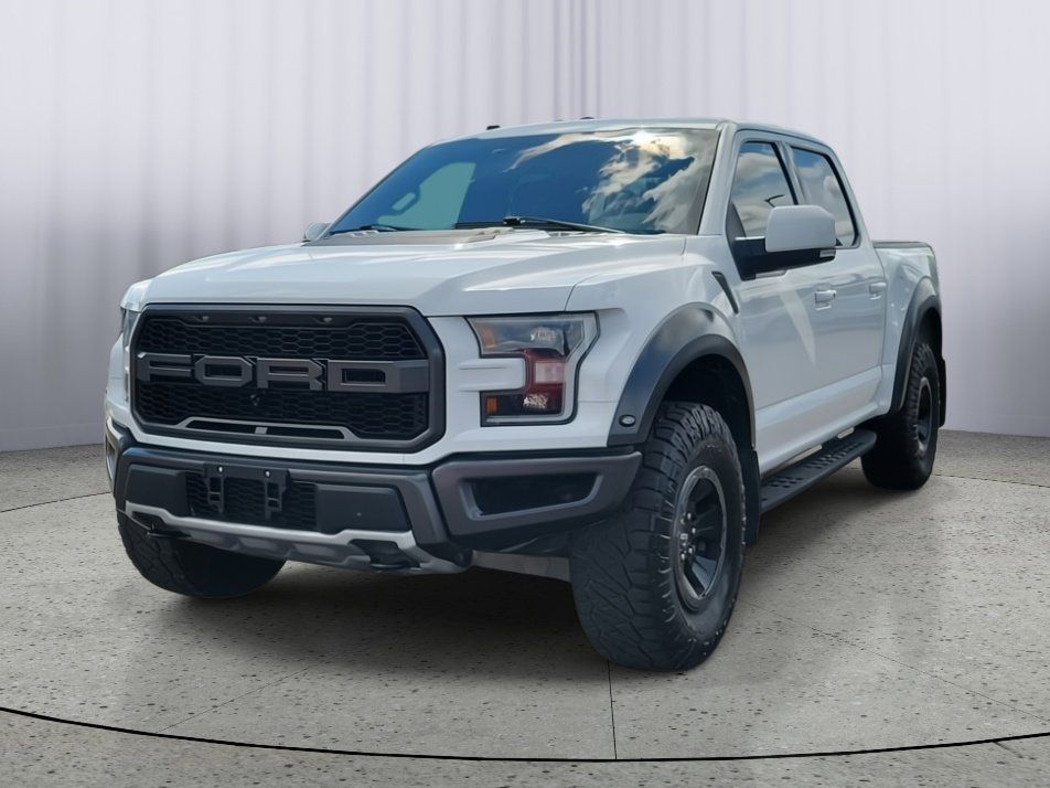 2018 Ford F-150 Raptor photo 4