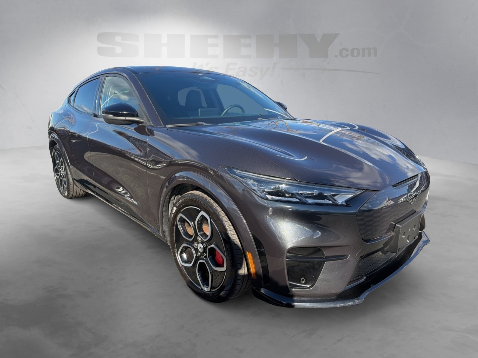 2021 Ford Mustang Mach-E GT photo 2