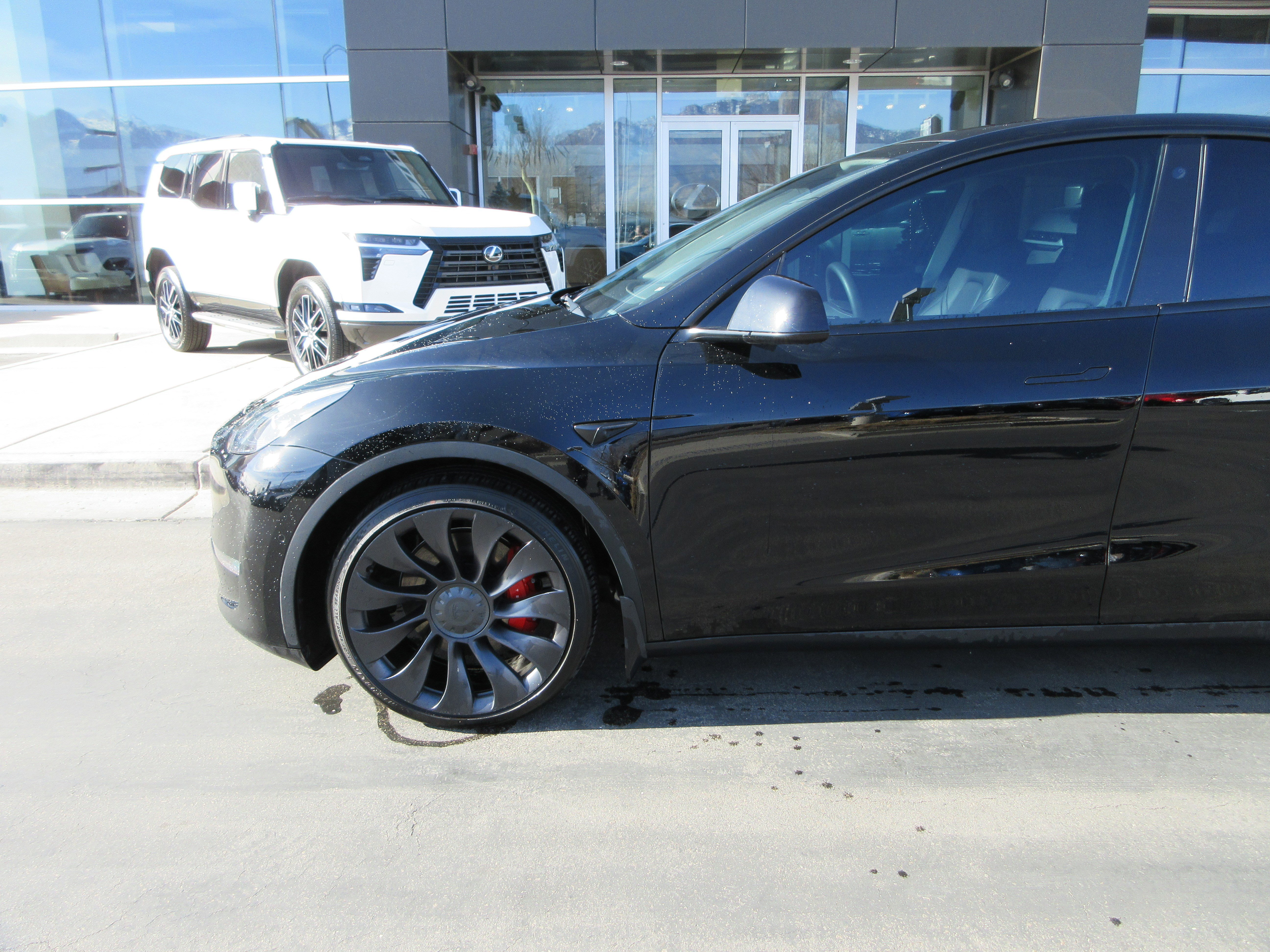 Used 2022 Tesla Model Y Performance with VIN 7SAYGDEF6NF343703 for sale in Northfield, Minnesota