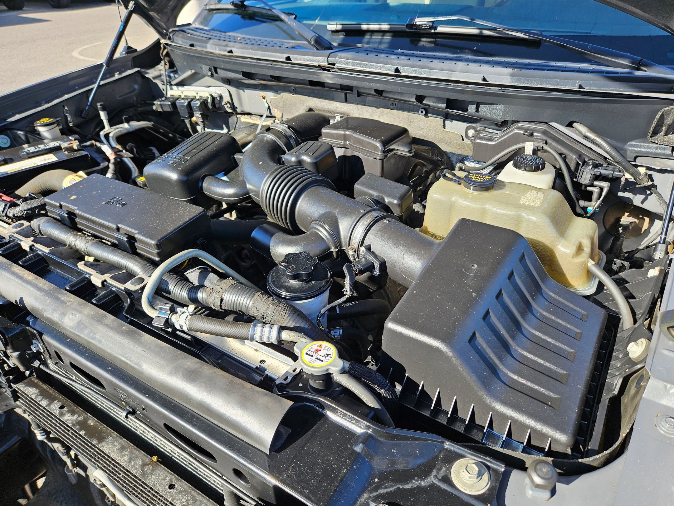 2010 Ford F-150 XLT photo 30