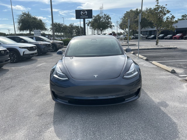 Used 2019 Tesla Model 3 Base with VIN 5YJ3E1EAXKF406409 for sale in Tampa, FL