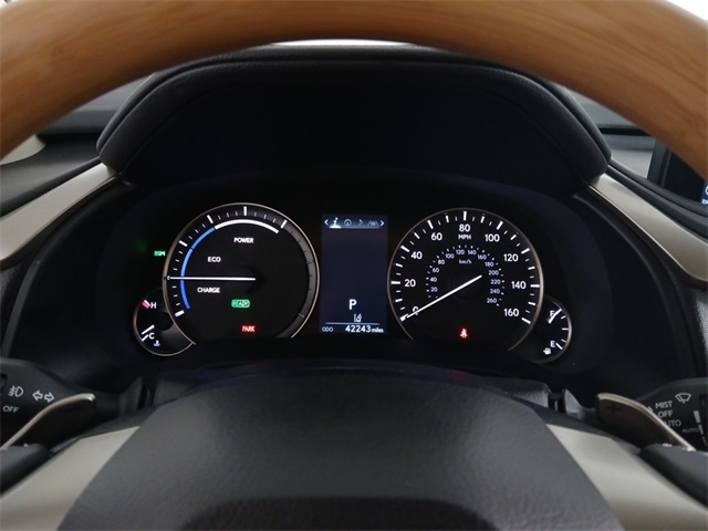 2021 Lexus RX 450h photo 11