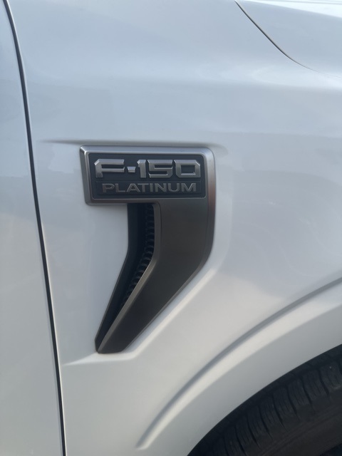 2023 Ford F-150 Platinum photo 8
