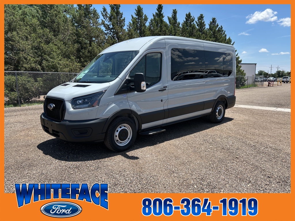 2025 Ford Transit Passenger photo 2