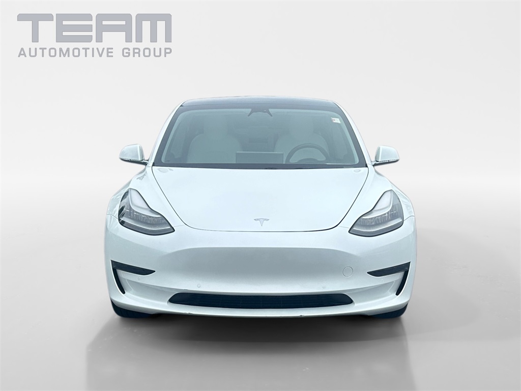 Used 2019 Tesla Model 3 Base with VIN 5YJ3E1EA8KF486406 for sale in Myrtle Beach, SC