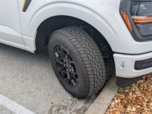 2025 Ford F-150 STX photo 3