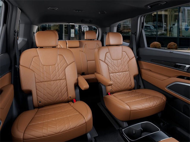 2025 Kia Telluride EX X-Line photo 10