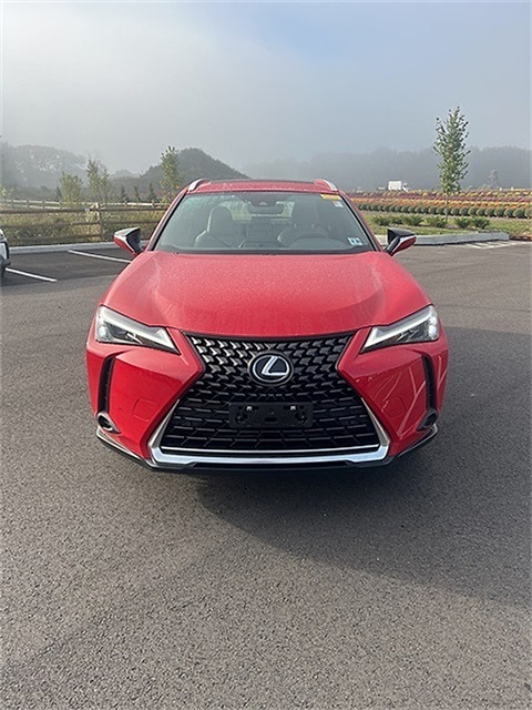 2023 Lexus UX 250h Premium photo 2