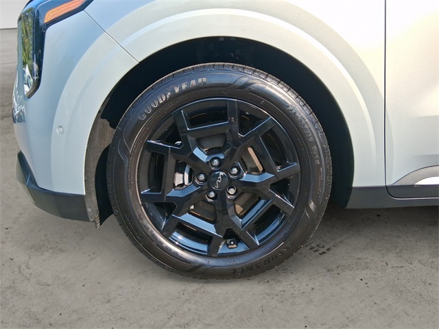 2025 Kia Carnival SX Prestige photo 13