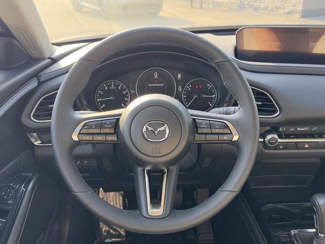 2025 Mazda CX-30 2.5 S Preferred photo 16