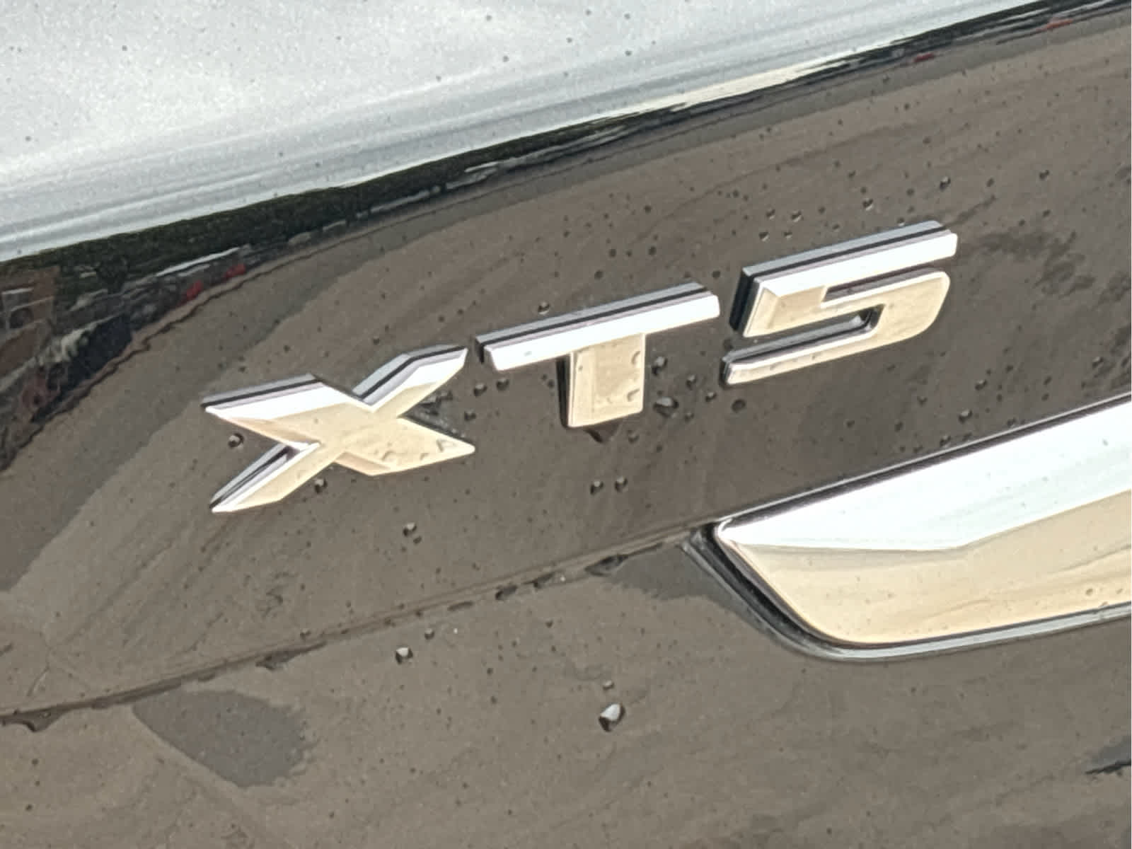2024 Cadillac XT5 Premium Luxury photo 8