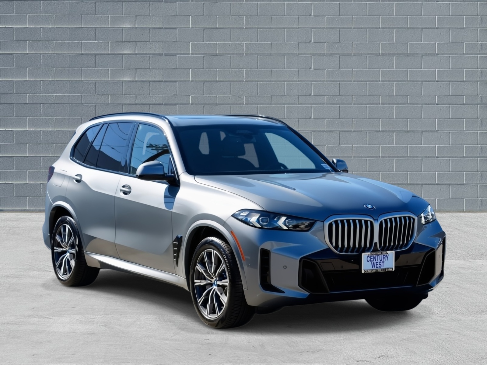 2025 BMW X5 50e's photo
