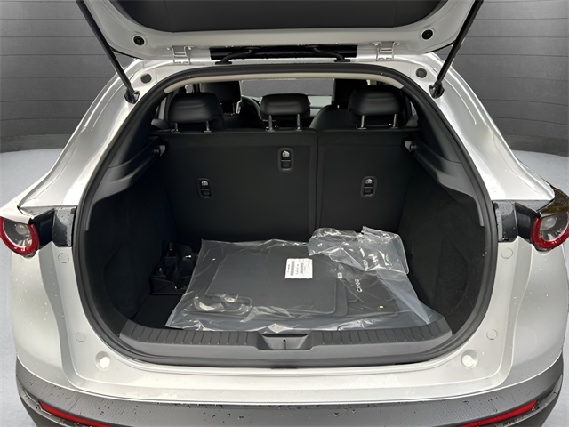2025 Mazda CX-30 2.5 Select Sport photo 30