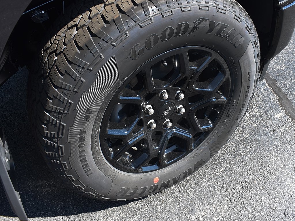 2025 Ford F-150 XLT photo 8