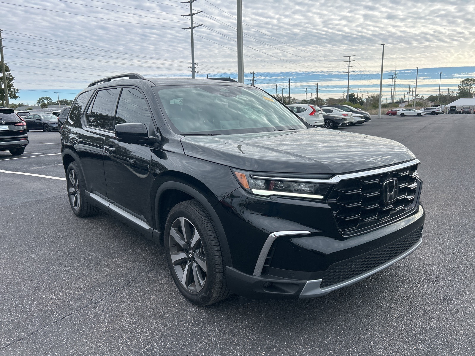 2025 Honda Pilot Elite's photo