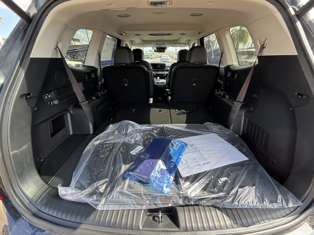 2025 Kia Telluride EX photo 14