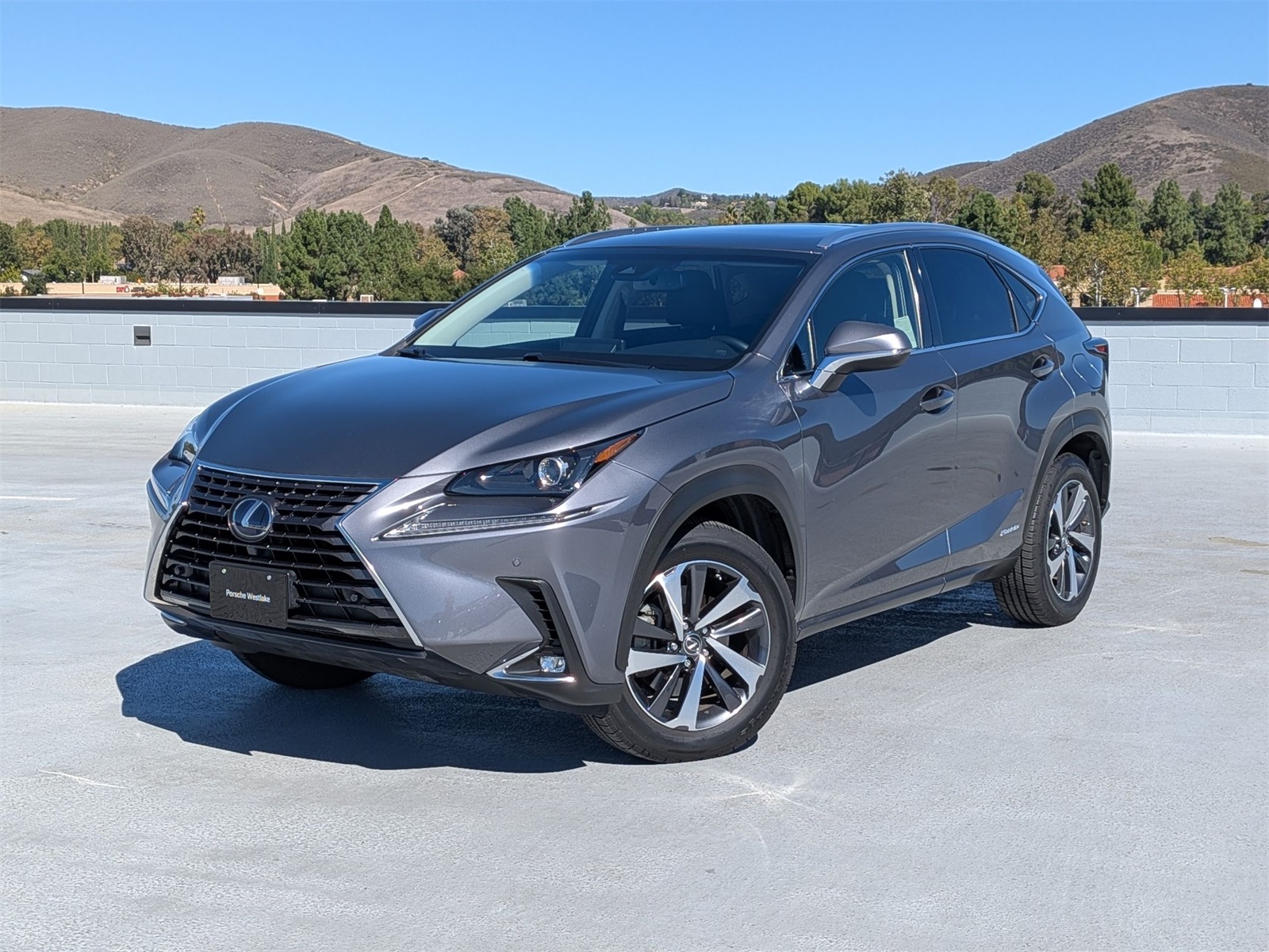 2019 Lexus NX Hybrid 300h