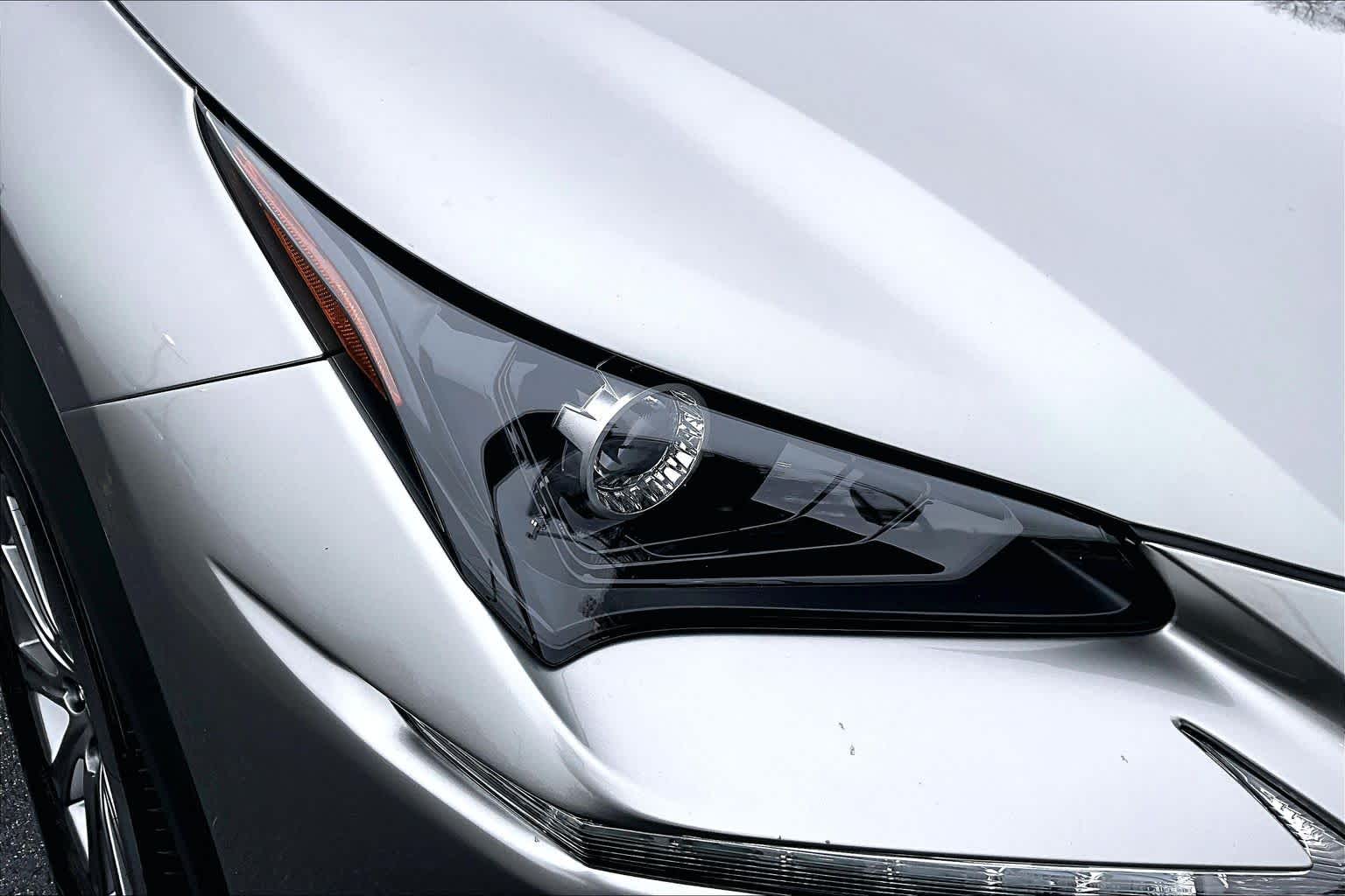 2020 Lexus NX Hybrid 300h - Photo 28