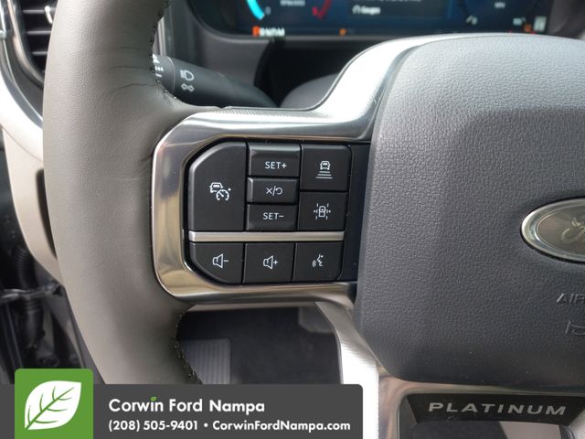 2025 Ford F-250 Platinum photo 16