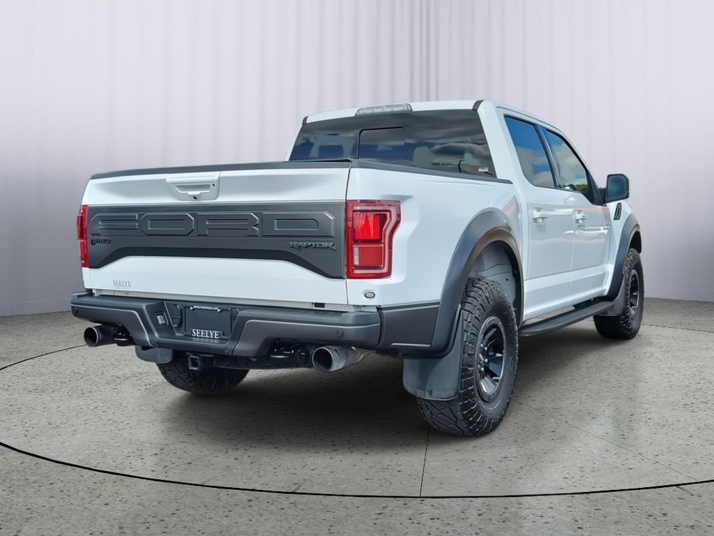 2018 Ford F-150 Raptor photo 2