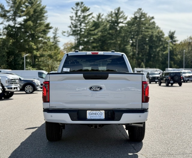 2025 Ford F-150 STX photo 5