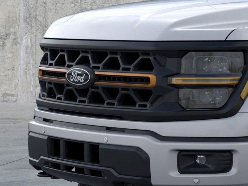 2025 Ford F-150 Tremor photo 15
