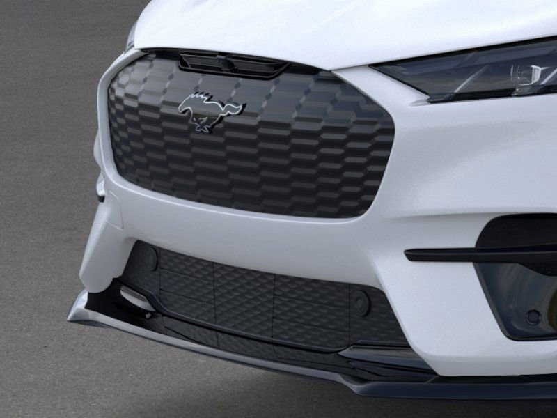 2025 Ford Mustang Mach-E Premium photo 15
