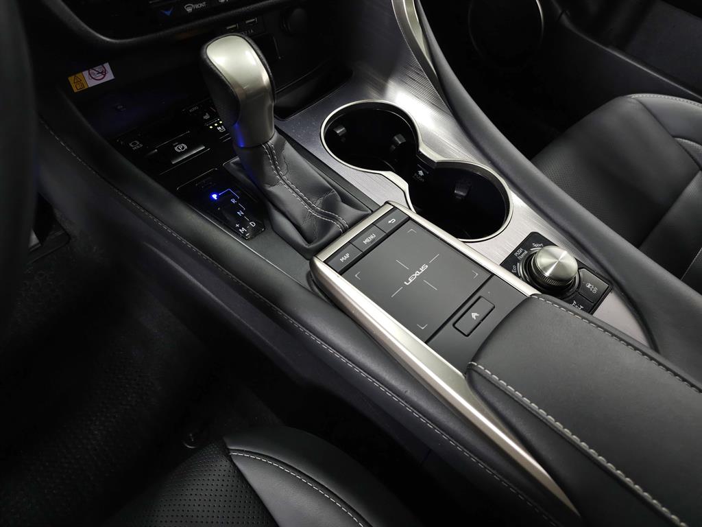 2022 Lexus RX F SPORT photo 31