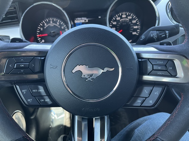 2016 Ford Mustang EcoBoost Premium photo 17