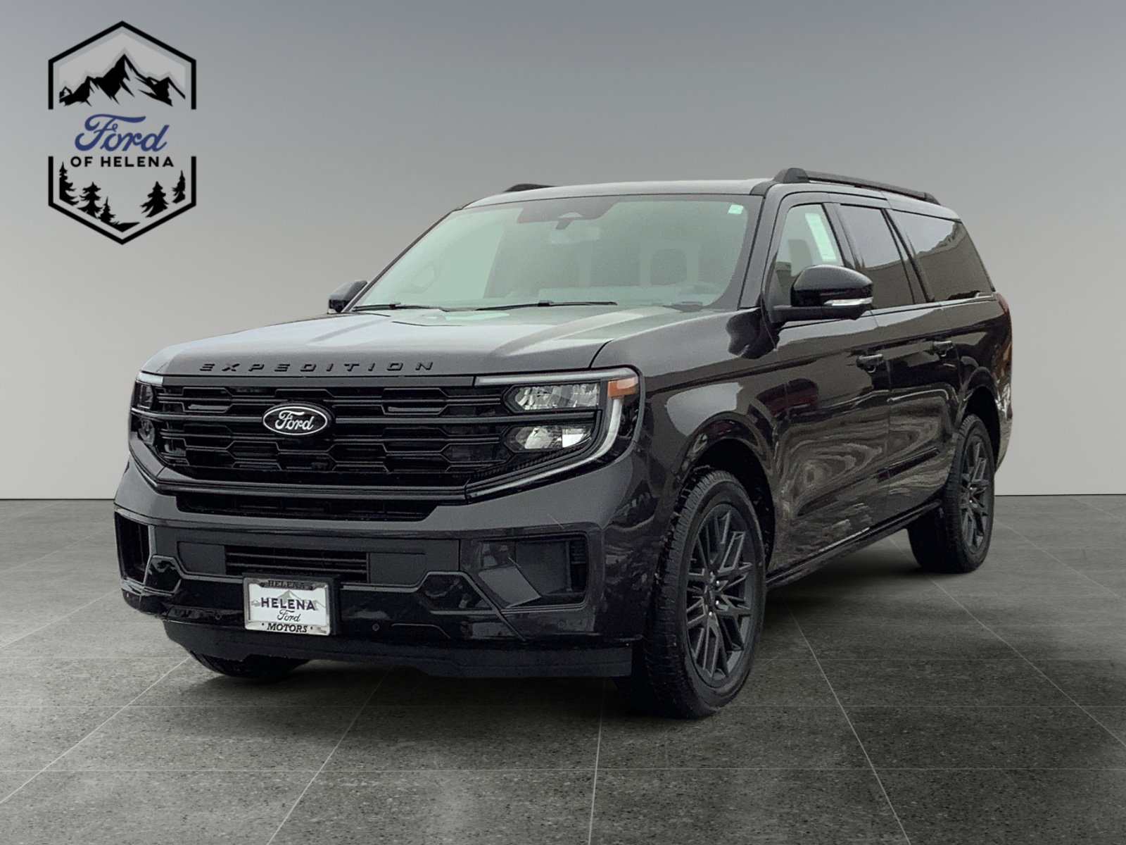 2025 Ford Expedition Platinum's photo