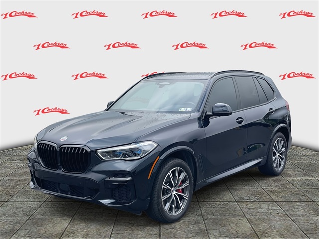 2023 Bmw X5 M50i photo 6