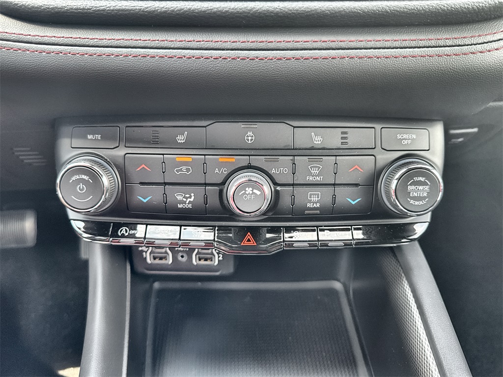 New 2025 Triple Nickel Exterior Paint Dodge GT image 19