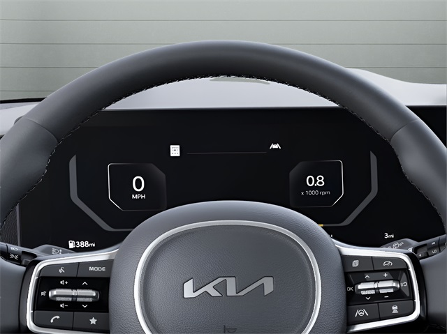 2026 Kia Carnival SX Prestige photo 19