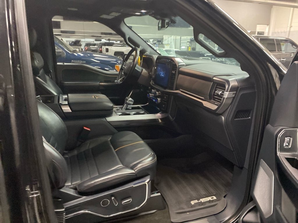 2021 Ford F-150 Platinum photo 2