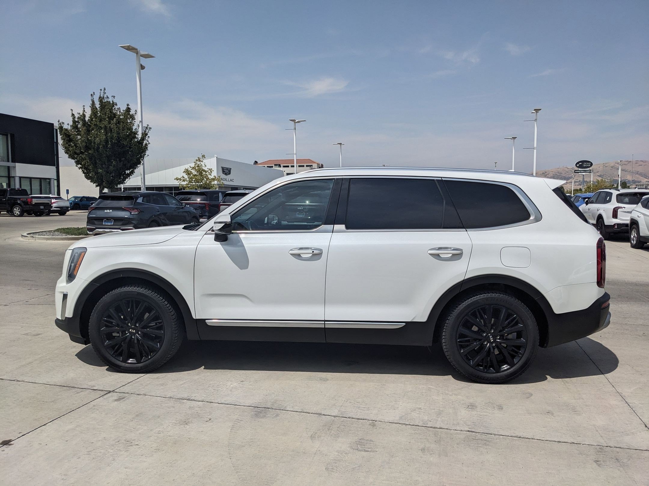 2020 Kia Telluride SX photo 2