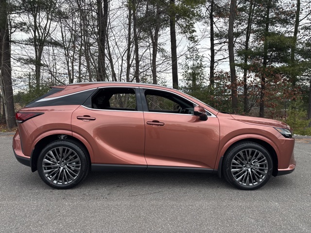 2026 Lexus RX 350 Luxury photo 2