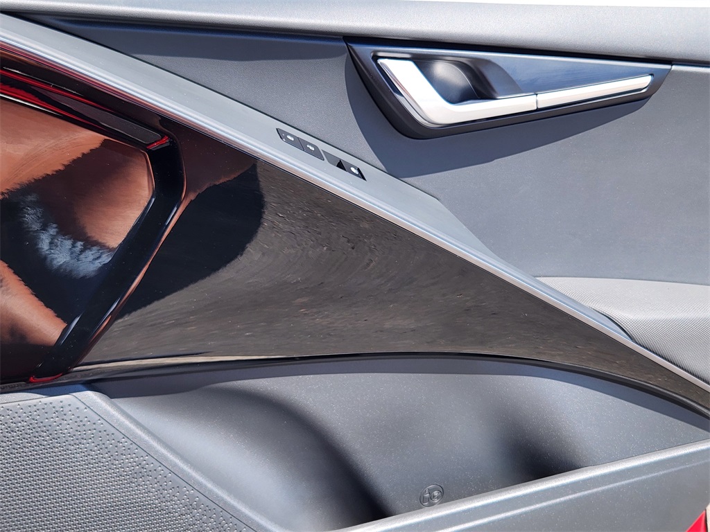 2024 Kia Niro EV Wave photo 13
