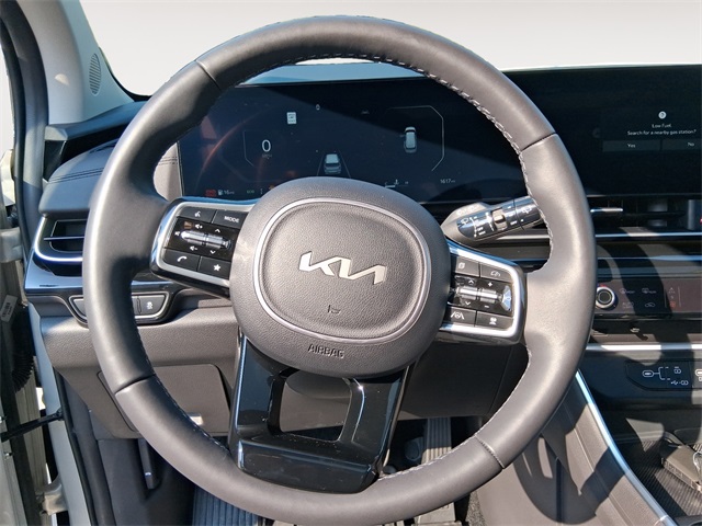 2025 Kia Carnival SX Prestige photo 11