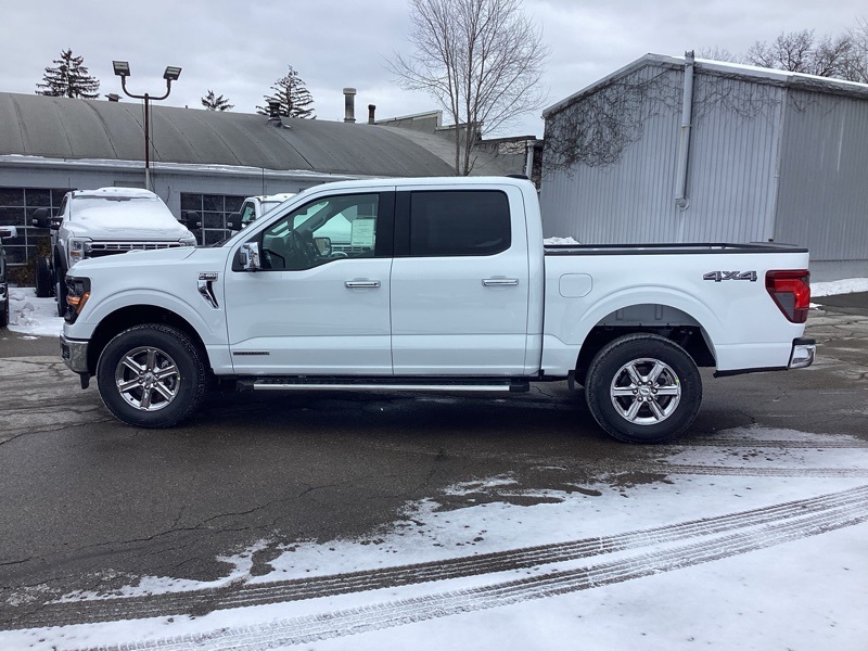 2025 Ford F-150 XLT photo 4