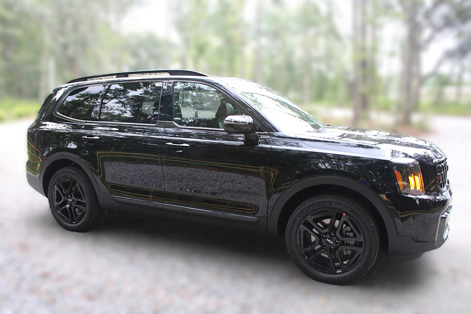 2025 Kia Telluride SX Prestige X-Line photo 12