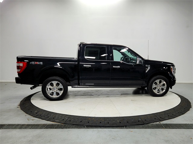 2023 Ford F-150 Platinum photo 8
