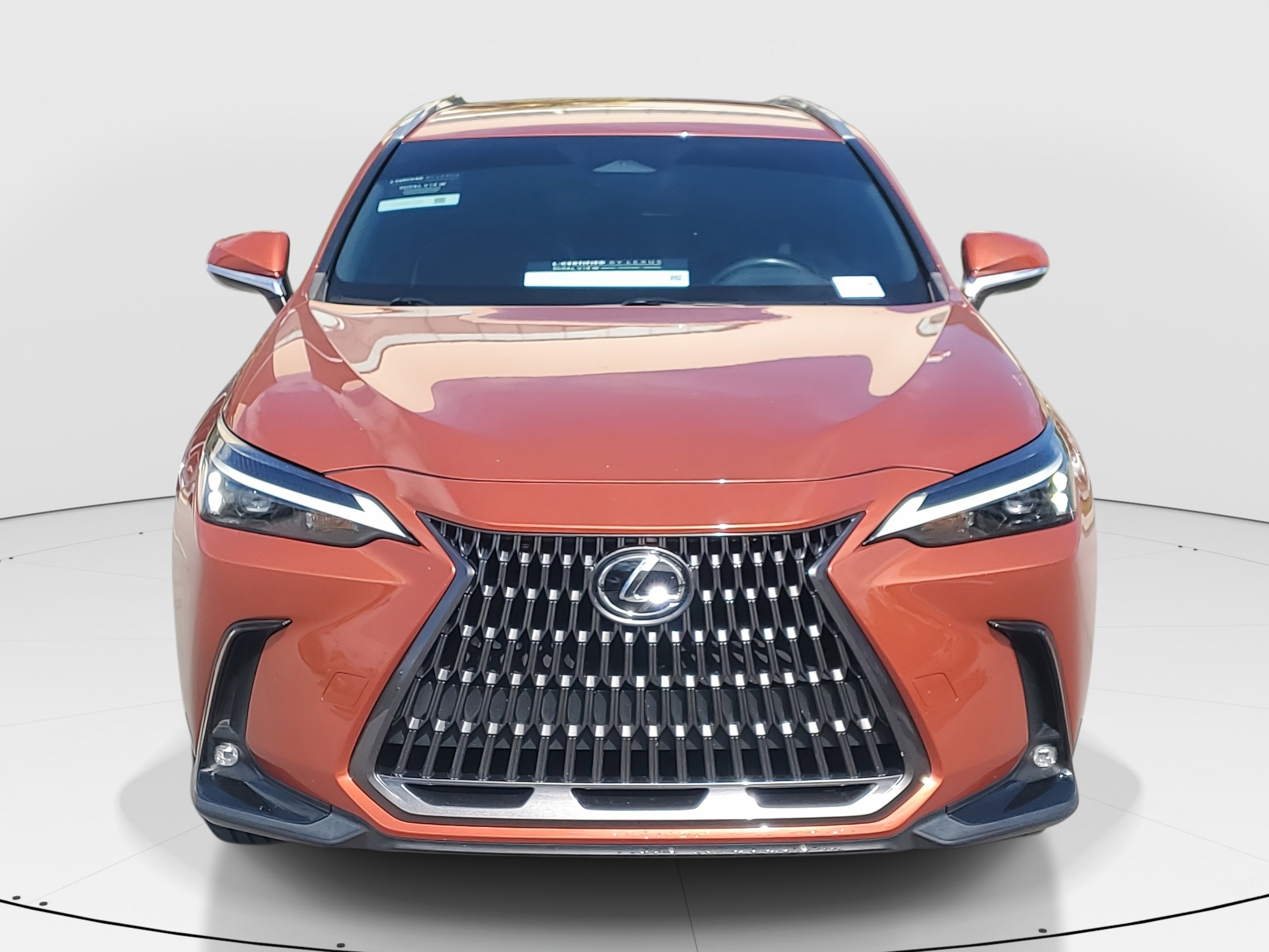 2024 Lexus NX 250 photo 4