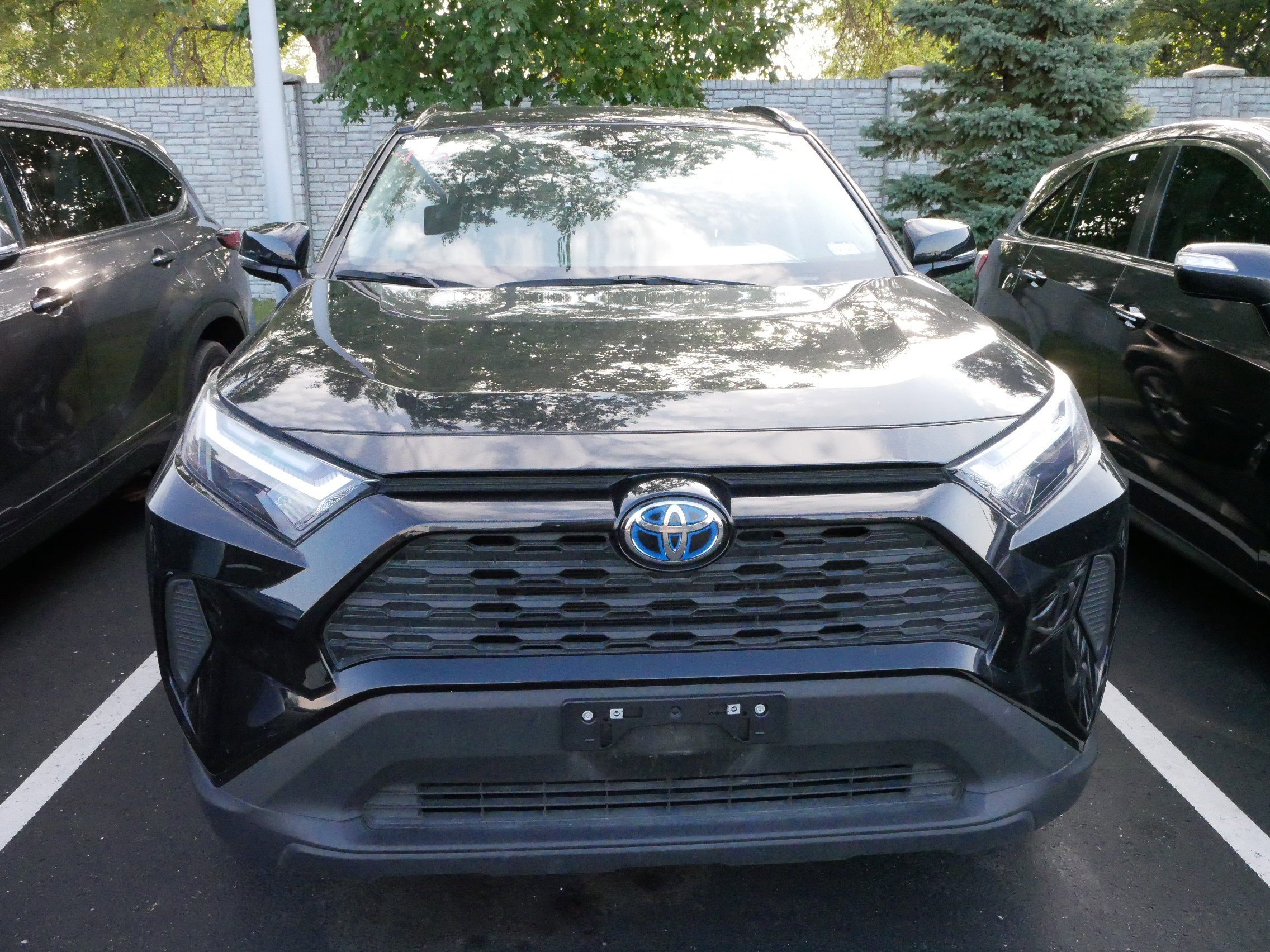 Certified 2024 Toyota RAV4 XLE with VIN 2T3RWRFV4RW204290 for sale in Brooklyn Center, Minnesota