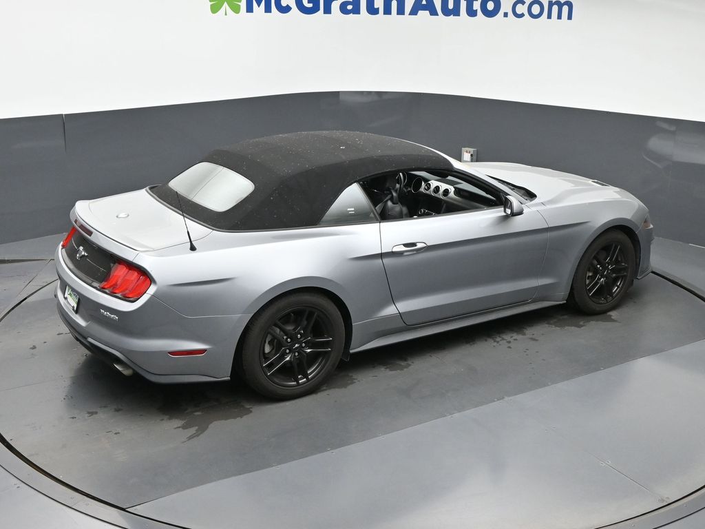2023 Ford Mustang EcoBoost Premium Convertible photo 2