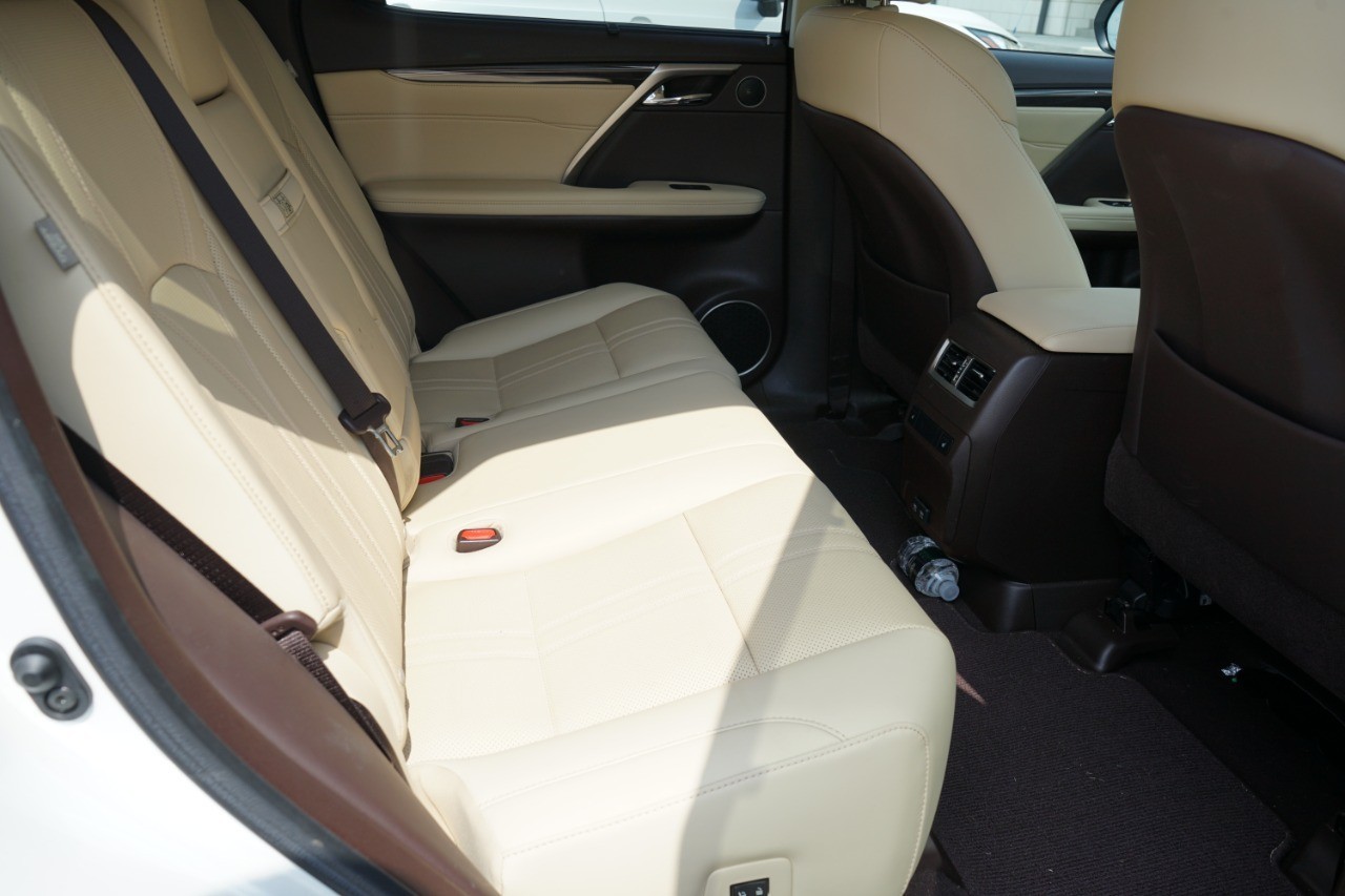 2020 Lexus RX 350 Luxury photo 6