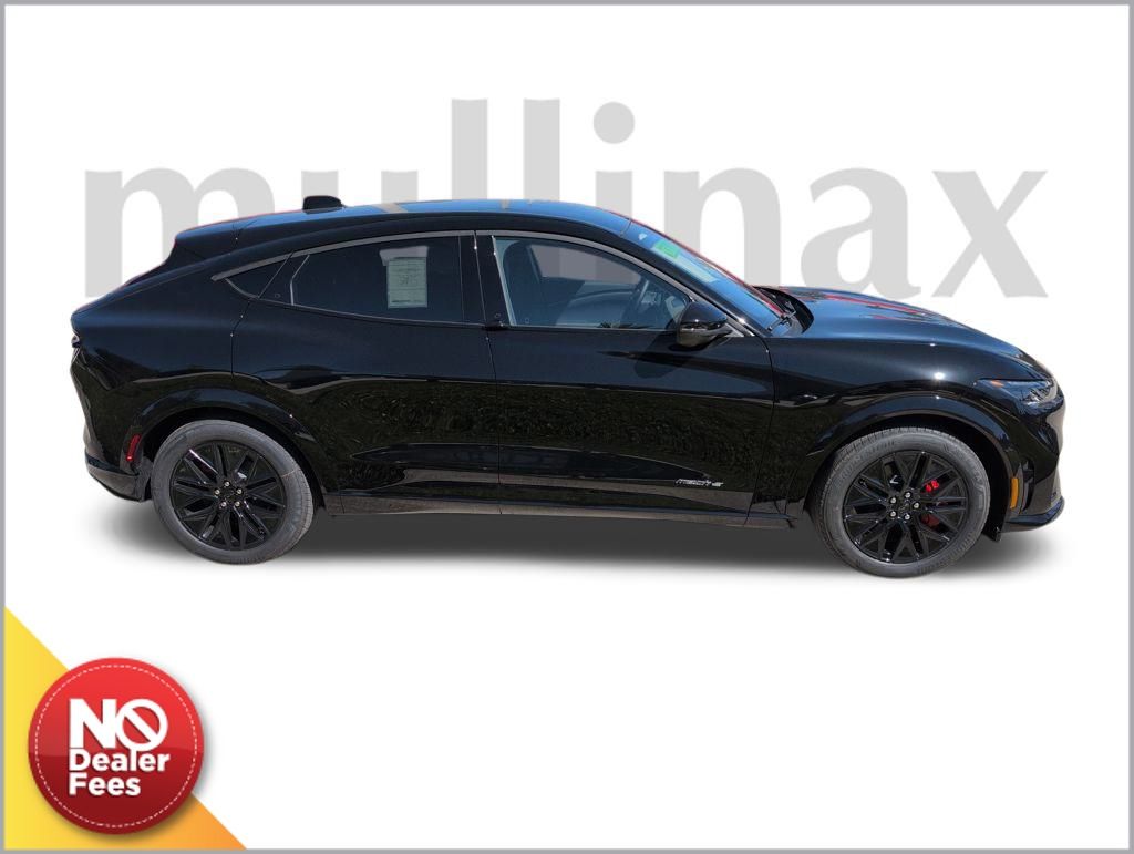 2025 Ford Mustang Mach-E Premium photo 2